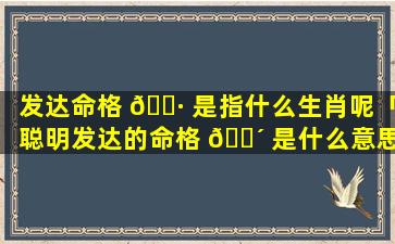 发达命格 🌷 是指什么生肖呢「聪明发达的命格 🐴 是什么意思」